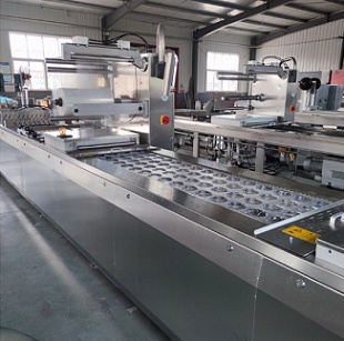 DLZ-420/520 computer automatic continuous stretch thermoforming vacuum packaging machine