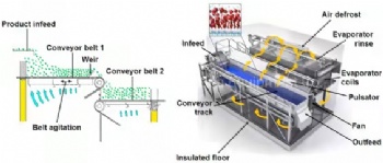 IFQ Fluidized Quick Freezer